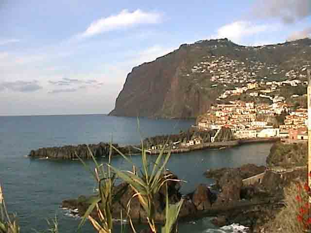 40 - Portugal - Madeira, Camara de Lobos, acantilados